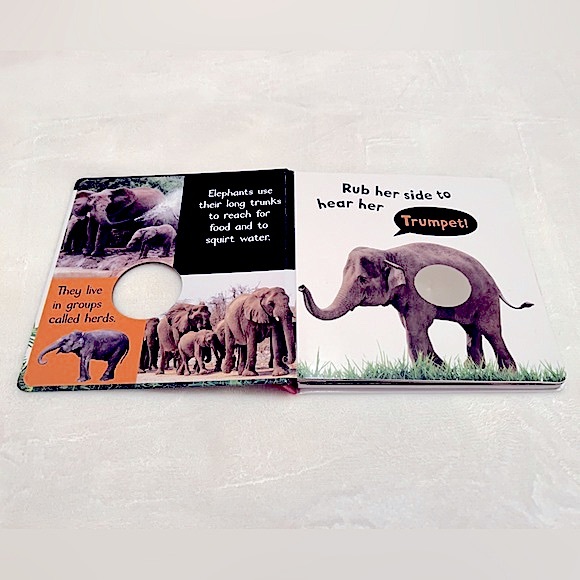 Noisy Animals My First Touch and Feel Sound Book - Picture 3 of 9